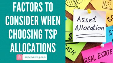 Factors to Consider When Choosing TSP Allocations